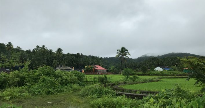 Monsoons in Goa