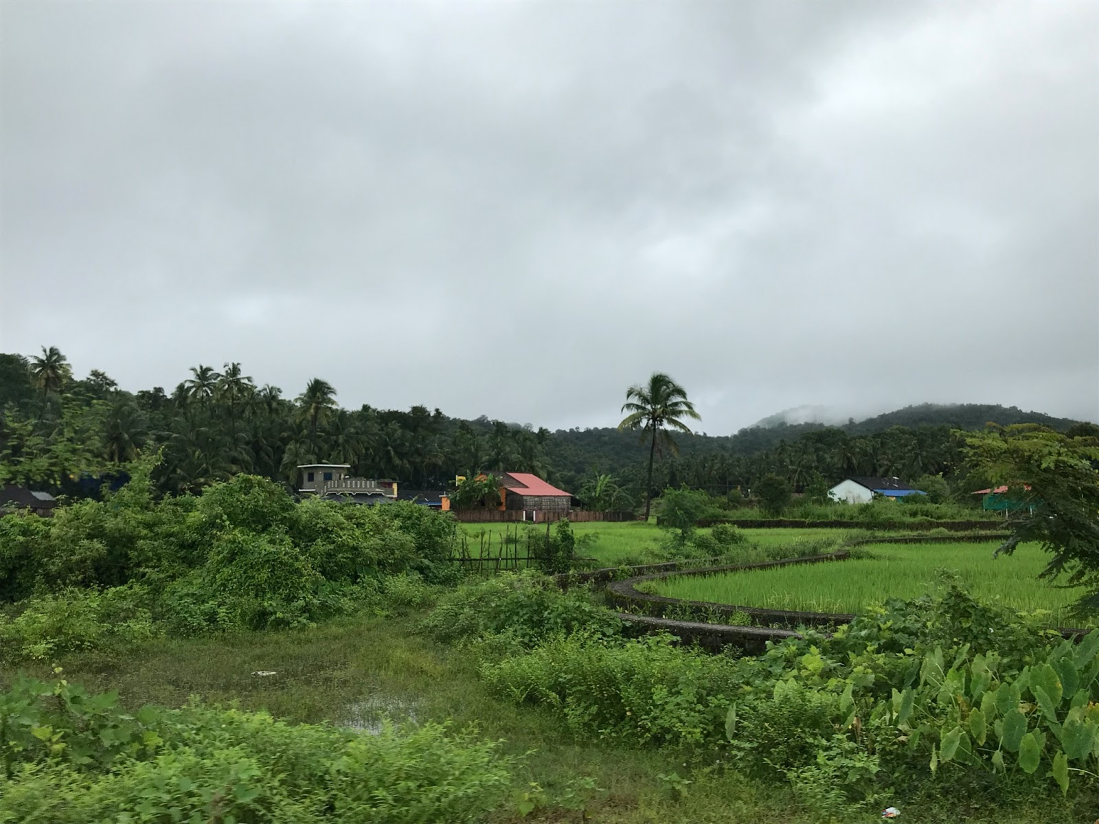 Monsoons in Goa