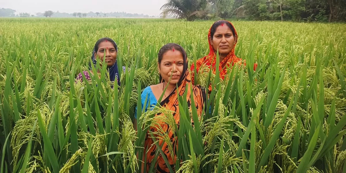 climate-resilient farming in Odisha