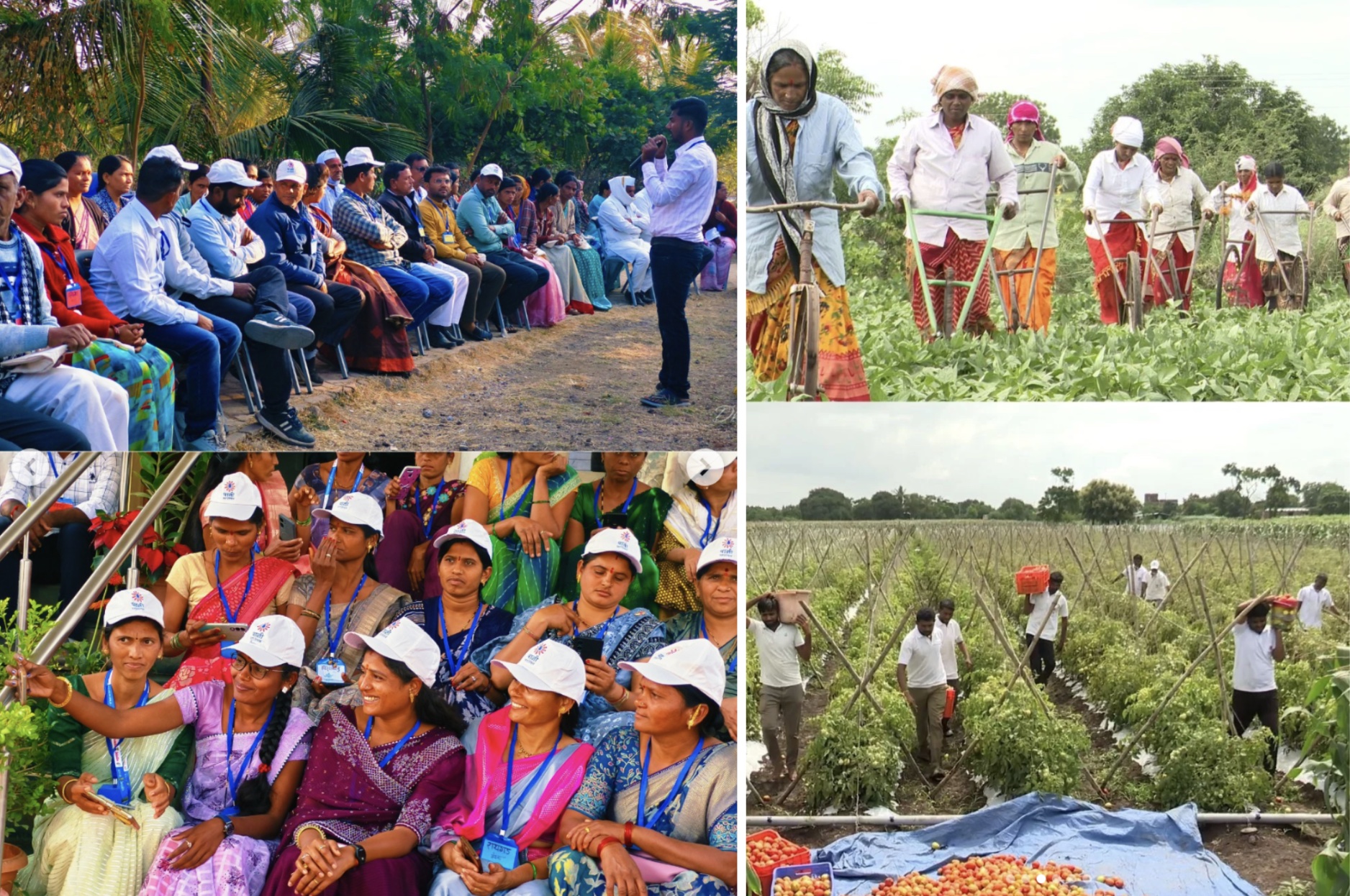 Farmer Cup - Paani Foundation